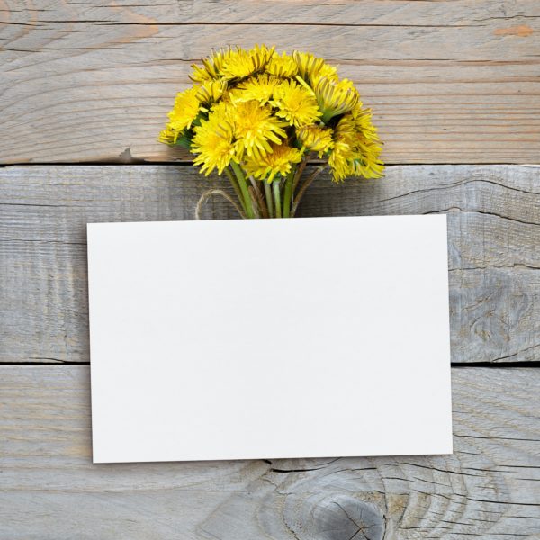 Dandelion flowers and blank postcard on wooden background