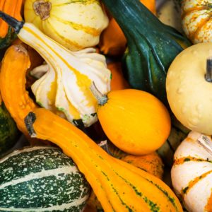 colorful ornamental pumpkins, gourds and squashes in the market